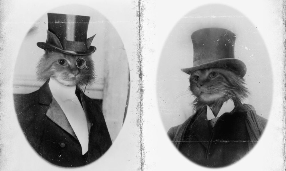 Merry Christmas from the McFaddens and Our Furry Friends